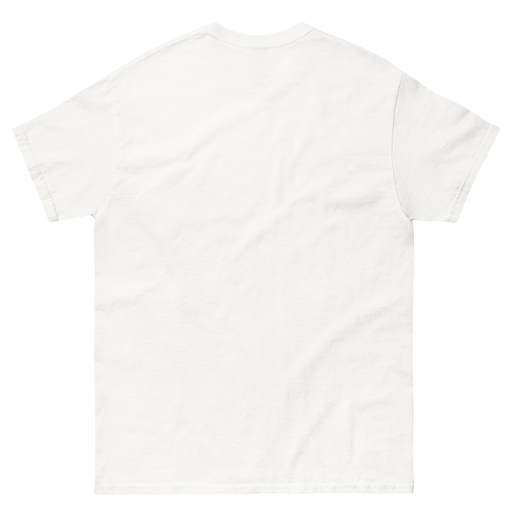 mens-classic-tee-white-back-6630b0de22f0c.jpg